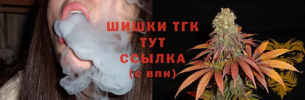 винт Осинники