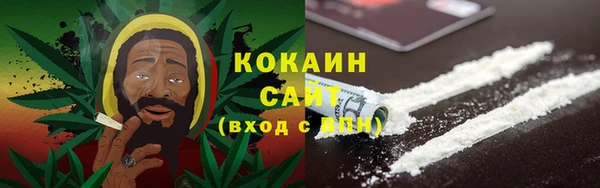 винт Осинники