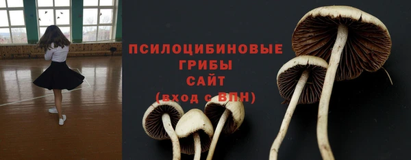 винт Осинники