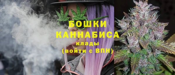 винт Осинники