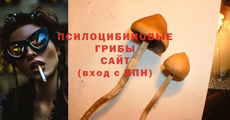 Галлюциногенные грибы Psilocybine cubensis  как найти наркотики  Оханск 