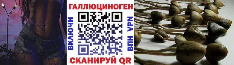 Псилоцибиновые грибы Psilocybe  Оханск 